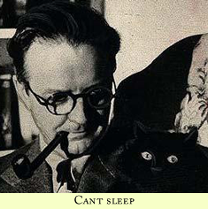 chandler and cat